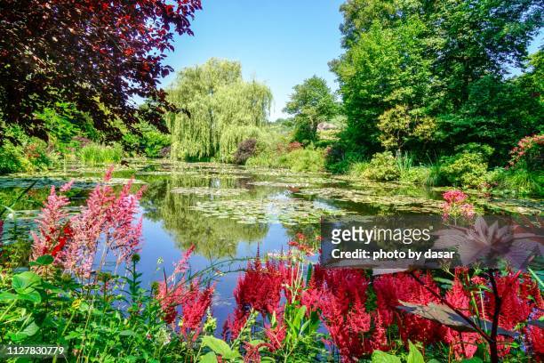 water lily pond at giverny - water garden stock pictures, royalty-free photos & images