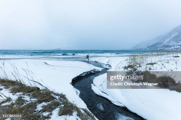 norway - senja - stimmungsvolle umgebung imagens e fotografias de stock