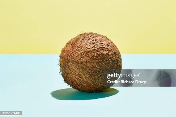 imperfect coconut - coconut stock pictures, royalty-free photos & images