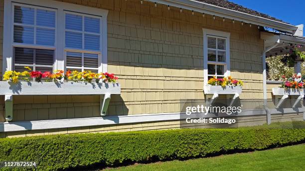 picture perfect wiindow boxes,shingle style home,and boxwood hedge - boxwood stock pictures, royalty-free photos & images