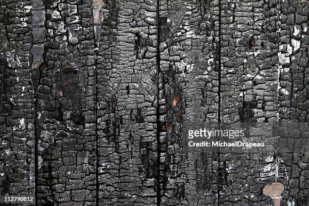 burned wall of wood plate - the ashes 個照片及圖片檔