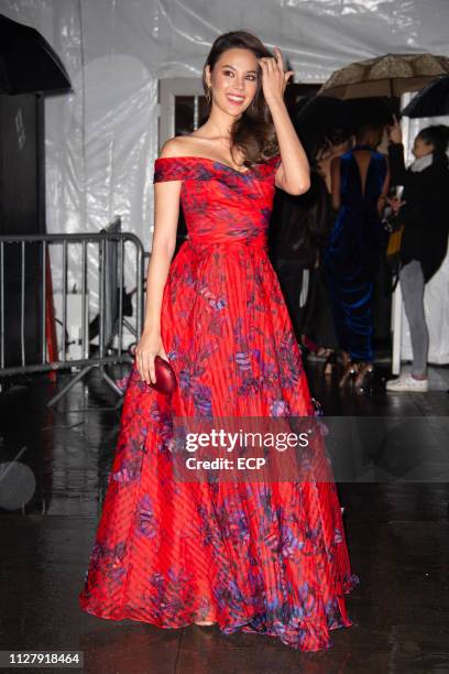 Catriona Gray at the amfAr Gala held at Cipriani Wall St on February 6, 2019 in New York City.