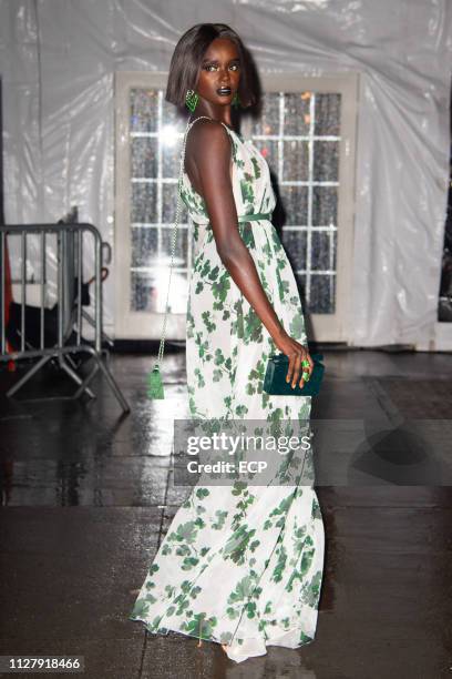 Duckie Thot at the amfAr Gala held at Cipriani Wall St on February 6, 2019 in New York City.