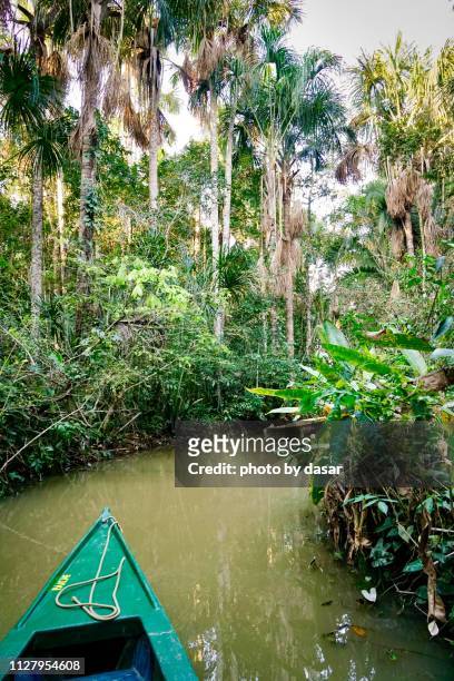 lake sandoval - amazonas stock pictures, royalty-free photos & images