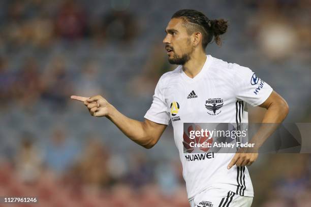 David Williams of Wellington Phoenix celebrates his goal during the round 18 A-League match between the Newcastle Jets and the Wellington Phoenix at...