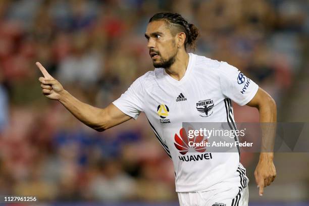 David Williams of Wellington Phoenix celebrates his goal during the round 18 A-League match between the Newcastle Jets and the Wellington Phoenix at...