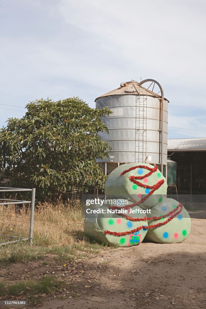 Australian country Christmas scene on the side of the road in Victoria, Australia
