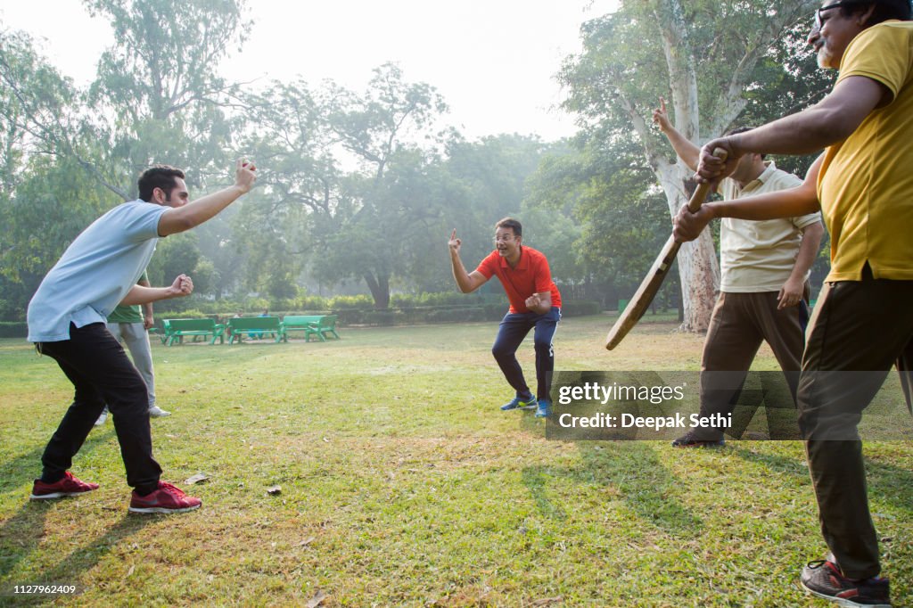 Playing Cricket - stock images