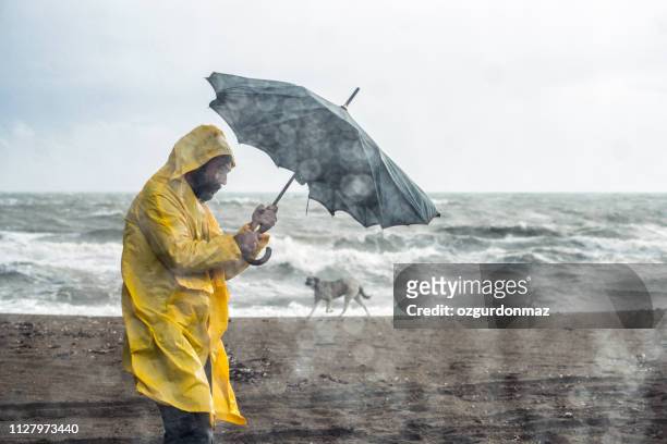 spiaggia tempestosa - rain foto e immagini stock