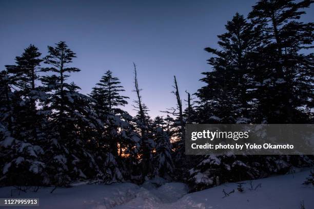 evening of yatsugatake - 一月 stockfoto's en -beelden