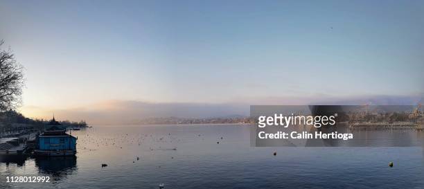 lake zurich after sunrise in winter with fog on snowy hills - lake zurich stock pictures, royalty-free photos & images