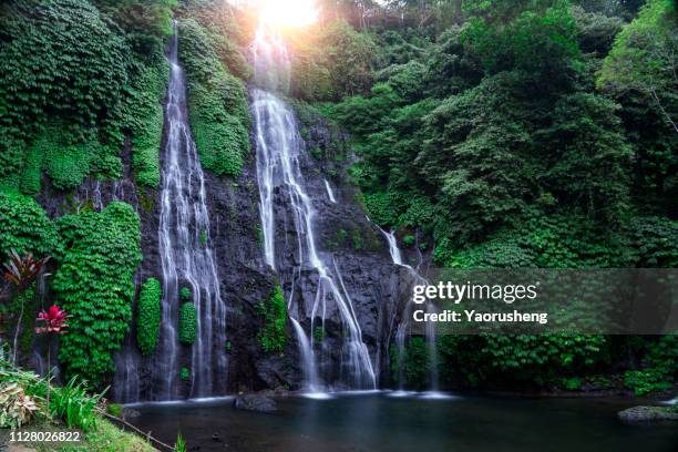 banyumala waterfall in north bali island, indonesia - bali waterfall stock pictures, royalty-free photos & images