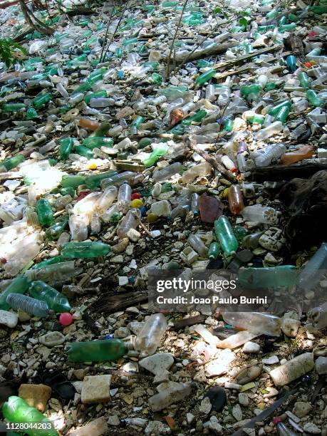 plastic trash washed ashore a river - poluição stock pictures, royalty-free photos & images