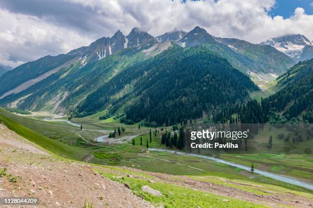 view of the mountainous landscape of the himalayas,,zozila pass,jammu and kashmir, ladakh region, tibet,india, - jammu and kashmir stock pictures, royalty-free photos & images