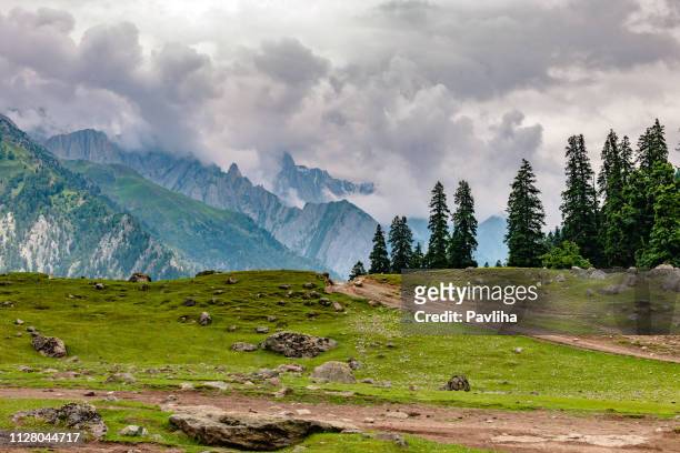 view of the mountainous landscape of the himalayas,,zozila pass,jammu and kashmir, ladakh region, tibet,india, - srinagar stock pictures, royalty-free photos & images