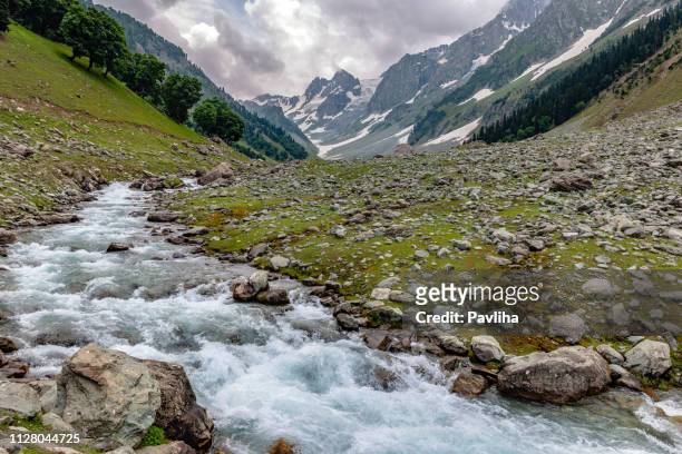 gletscher-stream in thaiwas,, zozila pass, jammu und kaschmir, region ladakh, tibet, indien, - jammu & kashmir stock-fotos und bilder