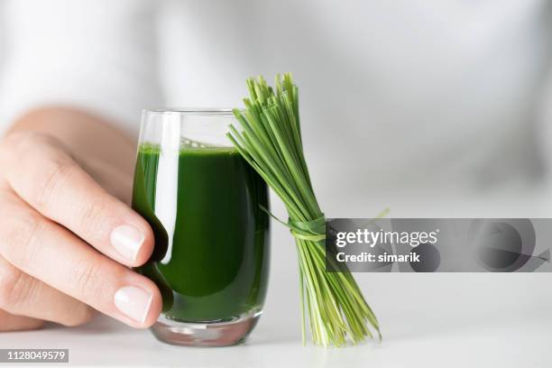 wheatgrass - grama de ponta imagens e fotografias de stock