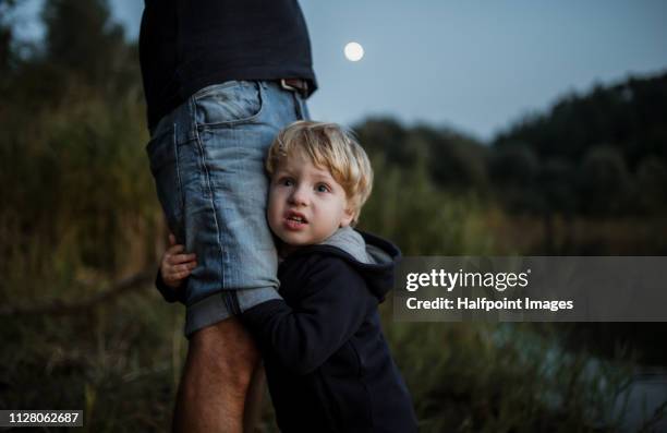 a midsection of mature man with a toddler boy standing at dusk by a lake in nature. - hugging mid section stock pictures, royalty-free photos & images