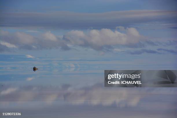 salar de uyuni bolivia - admirer le paysage stockfoto's en -beelden