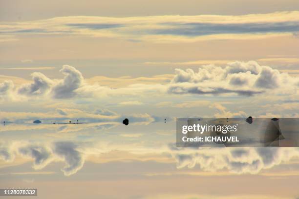 salar de uyuni bolivia - admirer le paysage stockfoto's en -beelden