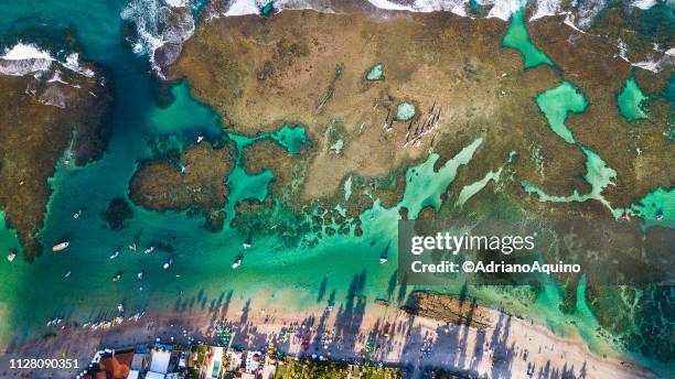 aerial view of the "porto de galinhas" beach - ponto de vista de drone stock pictures, royalty-free photos & images