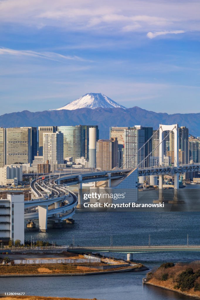 Tokyo Cityscape with Mt. Fuji