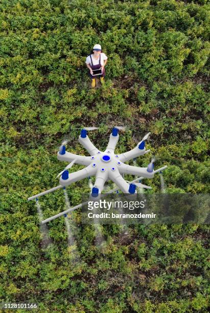 giovane contadina che spruzza i suoi raccolti usando un drone - ripresa di drone foto e immagini stock