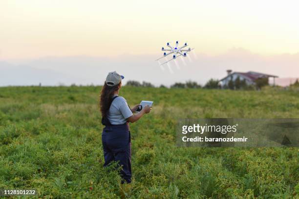 joven granjero de sexo femenino fumigación sus cultivos utilizando un drone - punto de vista de dron fotografías e imágenes de stock