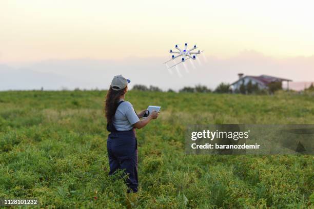 jeune agricultrice, pulvérisant ses cultures à l’aide d’un drone - vue subjective de drone photos et images de collection