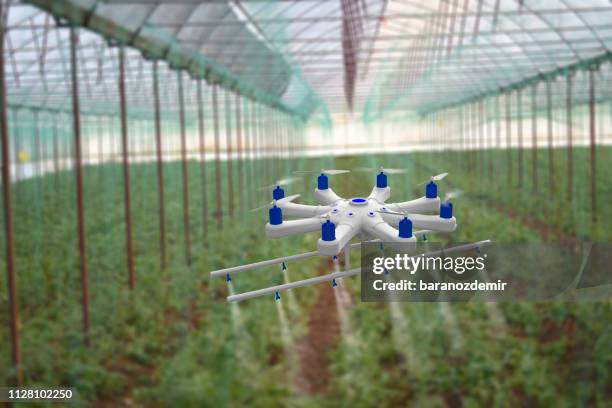 drone spraying a field in greenhouse - drone agriculture stock pictures, royalty-free photos & images