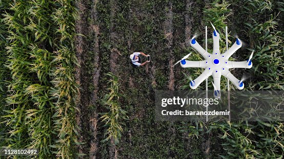 Farmer spraying his crops using a drone Farmer spraying his crops using a drone