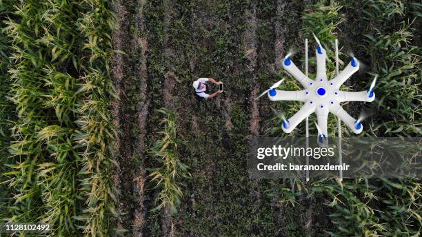 bonde sprutning hans grödor med hjälp av en drönare - drone agriculture bildbanksfoton och bilder