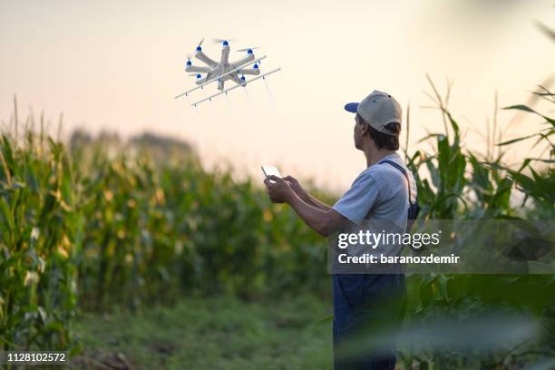 agricoltore spruzzando le sue colture usando un drone - drone agriculture foto e immagini stock