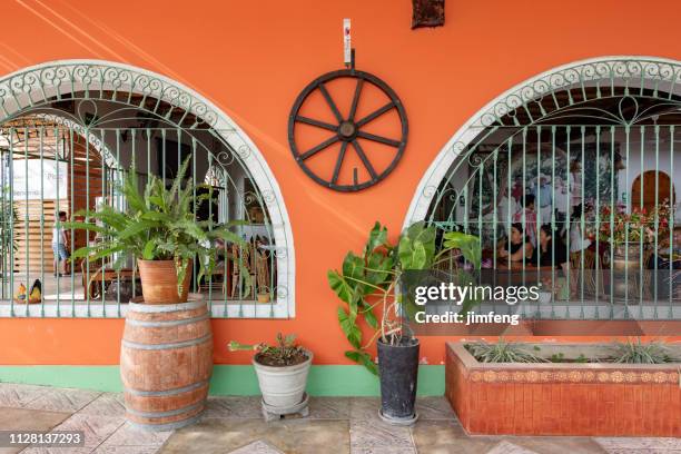 the vineyards in pisco near ica in peru - moonshine jug stock pictures, royalty-free photos & images