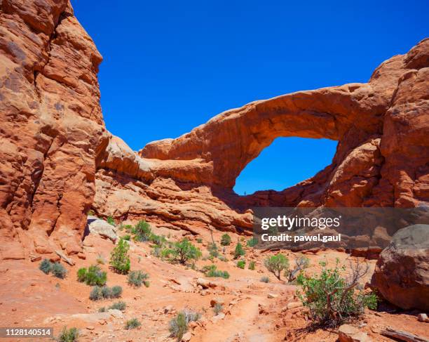 arches national park in utah - devil's garden arches national park stock pictures, royalty-free photos & images