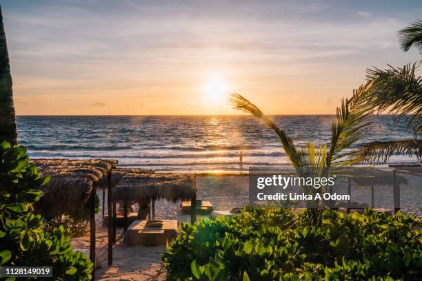 boutique hotel on beach in tropical paradise - tulum stock-fotos und bilder