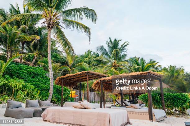 boutique hotel on beach in tropical paradise - tulum stock-fotos und bilder