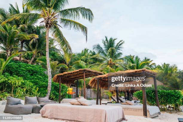 boutique hotel on beach in tropical paradise - tulum mexico 個照片及圖片檔