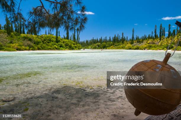 chenal de la piscine naturelle - paradisiaque - fotografias e filmes do acervo