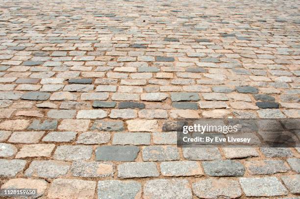 cobblestones - paving stone stock-fotos und bilder