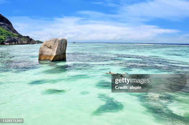 snorkelen in zee - seychelles stockfoto's en -beelden