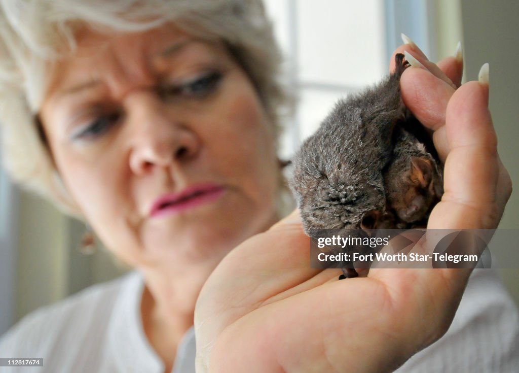 ENV-BAT-REHAB