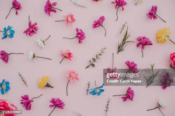 spring flowers background in pink.flat lay - march month stock pictures, royalty-free photos & images