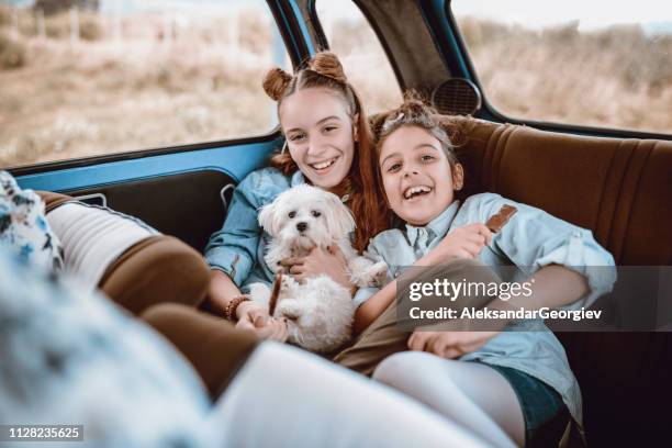 ビンテージ車に彼らの犬のポーズかわいい姉妹 - sweet bizarre vintage rides ストックフォトと画像