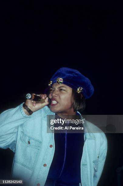 Queen Latifah performs at Madison Square Garden on January 3, 1992 in New York City.