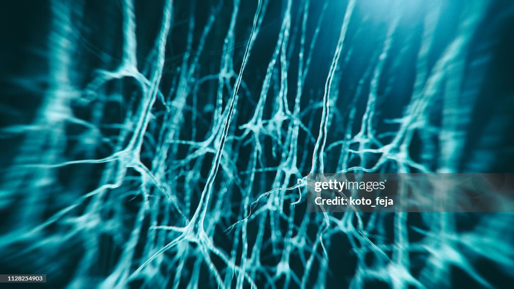 Neuron system