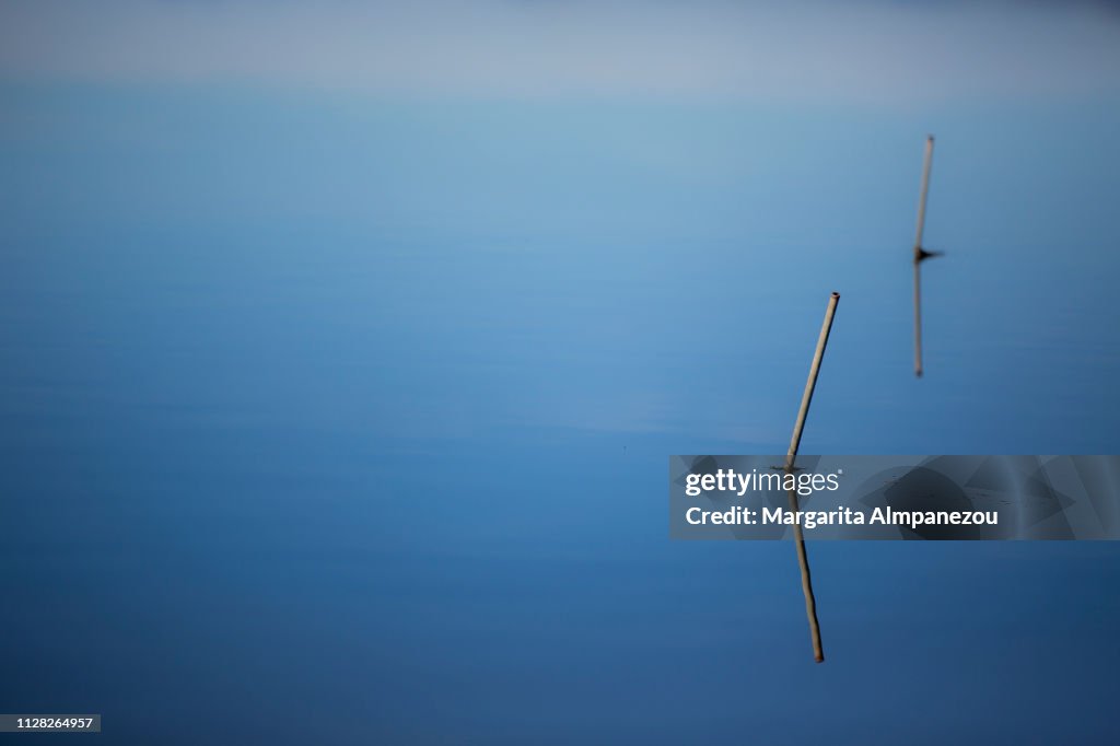 Reflection of fishing poles in the clear blue water