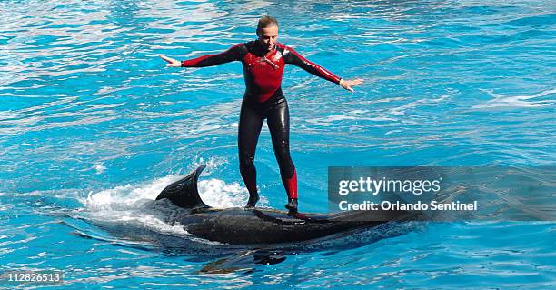 Dawn Brancheau, a whale trainer at SeaWorld Adventure Park, shown performing on December 30 was killed in an accident with a killer whale at the...