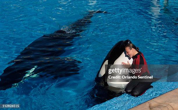 Dawn Brancheau, a whale trainer at SeaWorld Adventure Park, shown performing on December 30 was killed in an accident with a killer whale at the...