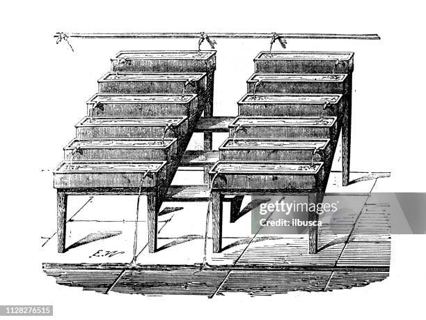 antique illustration of scientific discoveries: fish farming - fish farm stock illustrations